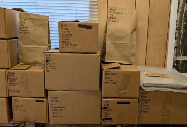 boxes ready for transport